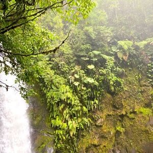 Meet your Posher, Sandslia